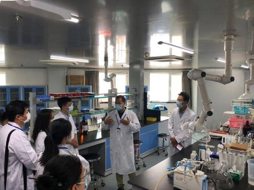 守护舌尖安全，筑牢信息防线 东城食品药品安全监控中心公众开放日纪实